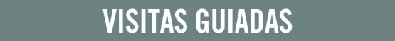 Visitas guiadas